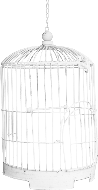 Cage Bird Png Download Png Image With Transparent