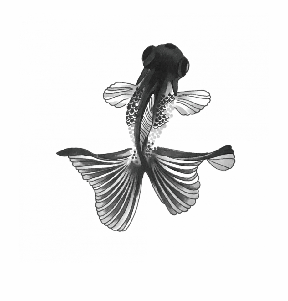 black and white small fish

