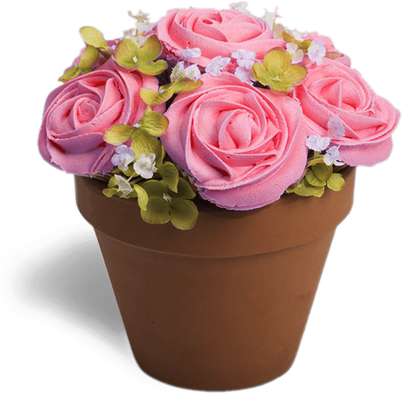 Free Potted Flowers Png, Download Free Potted Flowers Png png images, Free ClipArts on Clipart