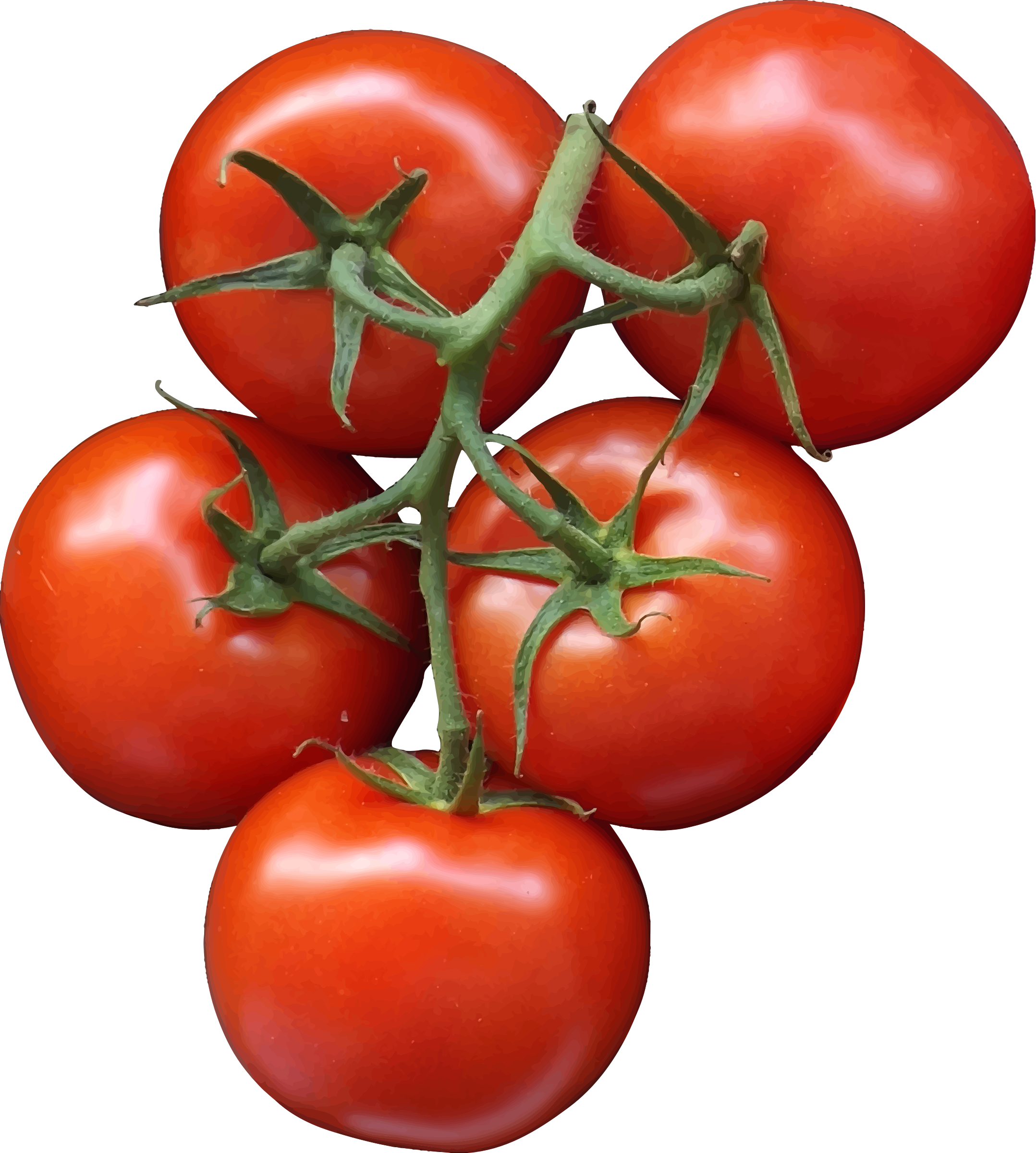 Tomato Clipart Svg Cherry Tomatoes Transparent Background
