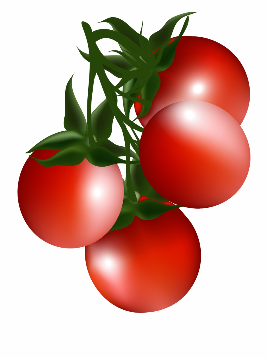 Cherry Tomato Clip Art Cartoon Red Tomatoes Clipart