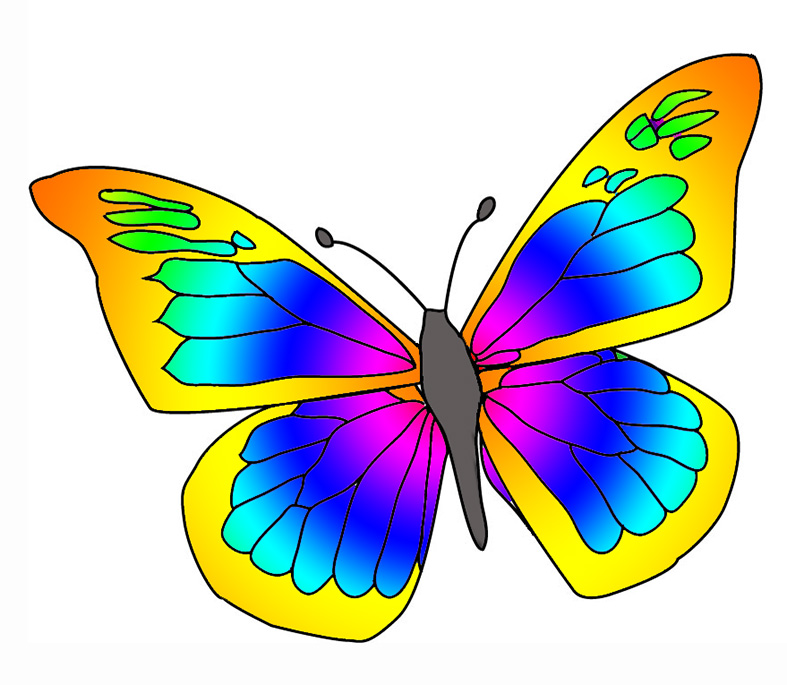 Free Butterflies Clipart, Download Free Butterflies Clipart png images