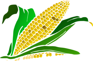 Corn clip art at vector clip art free 3 clipartcow
