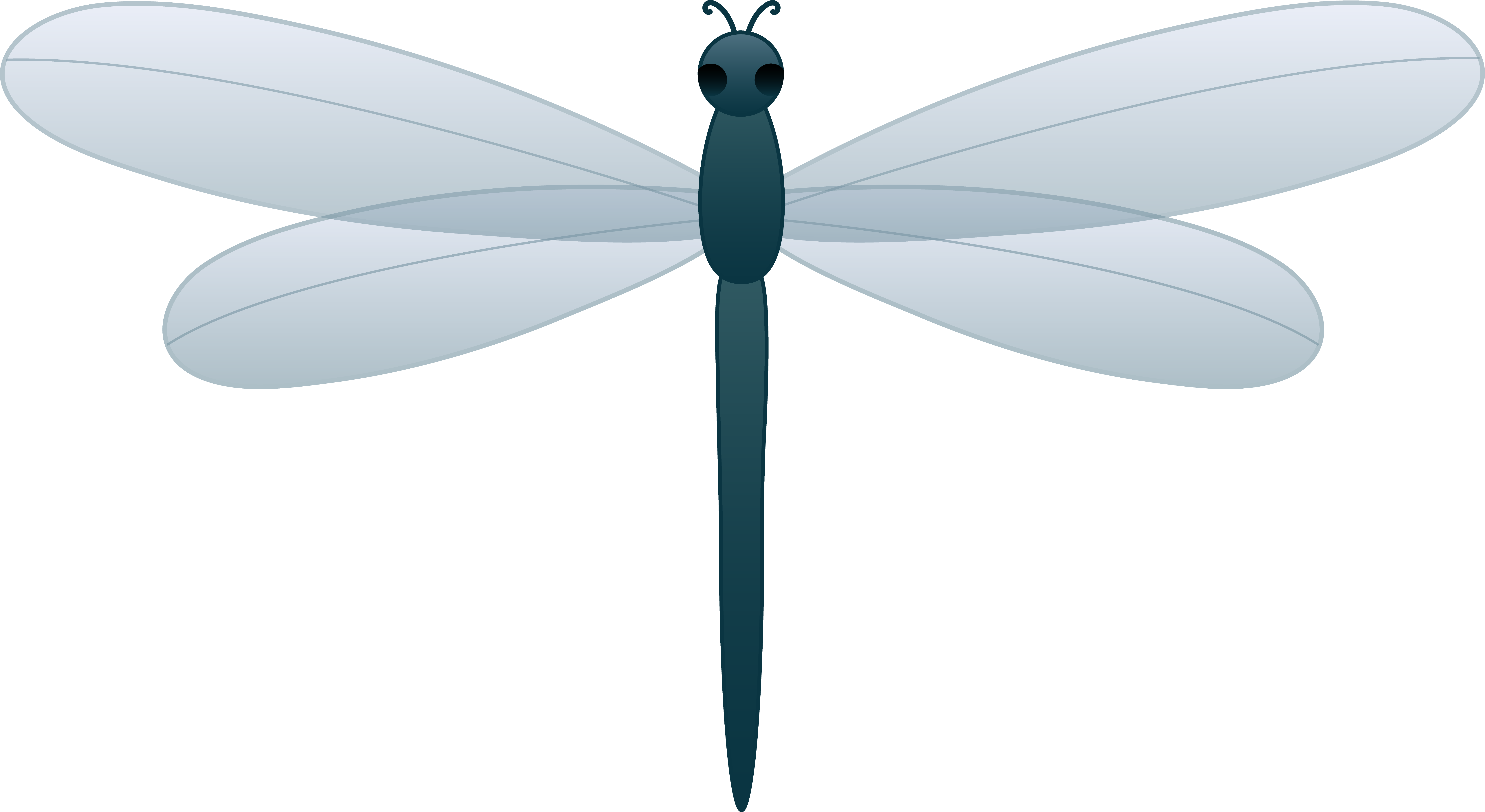 Dragonfly clipart 5