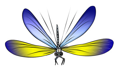 Free Dragonfly Clipart, Download Free Dragonfly Clipart png images