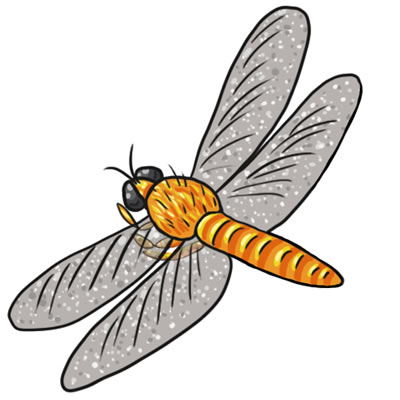 Free dragonfly clip art drawings and colorful images 3