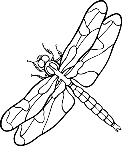 Dragonfly clip art black and white danasoka top