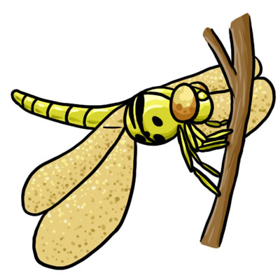 Free dragonfly clip art 2 clipartcow