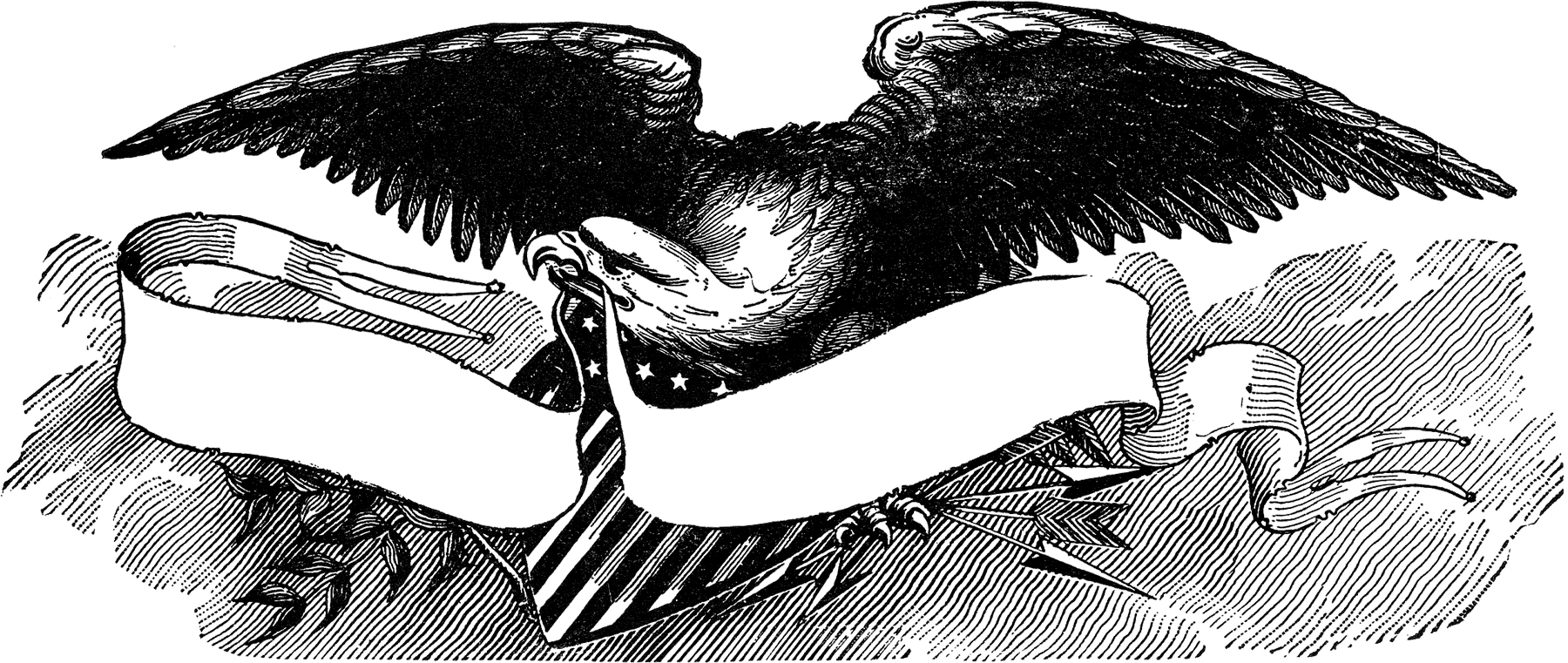 Vintage patriotic bald eagle clip art the graphics fairy