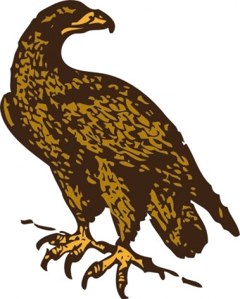 Golden eagle clip art free vector in open office drawing svg