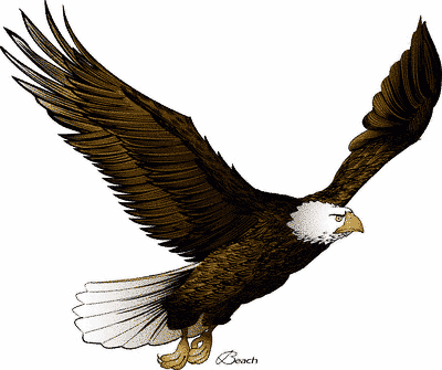 Flying eagle clip art 4
