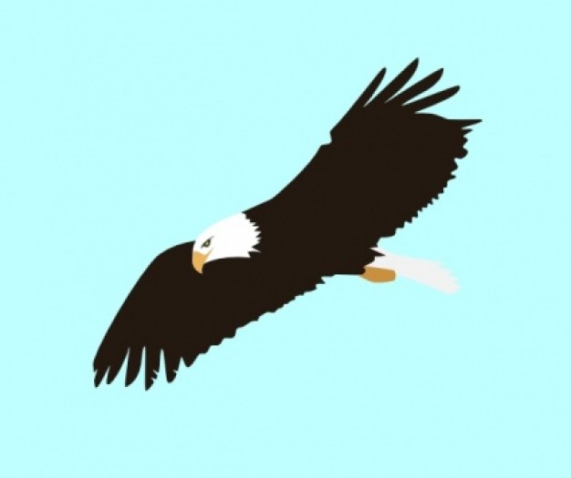 Eagle animated clip art dromhfb top