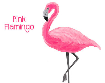 Flamingo clipart 2