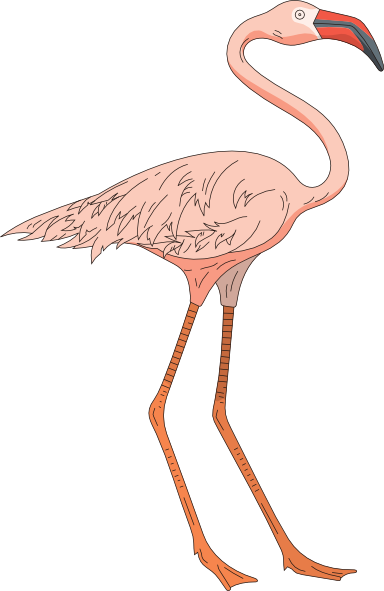 Pink flamingo clip art free cliparts and others art inspiration 2