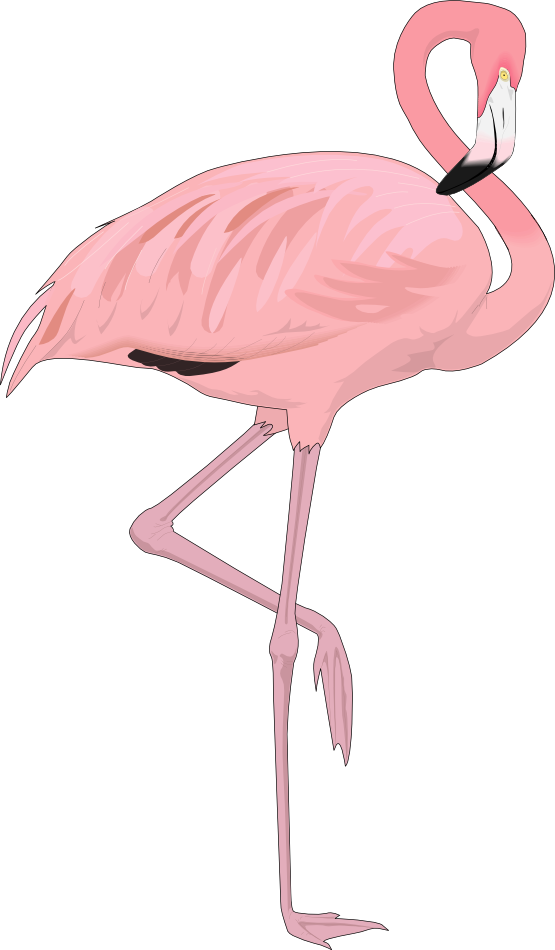 Free Flamingo Clipart Black And White, Download Free Flamingo Clipart Black  And White png images, Free ClipArts on Clipart Library