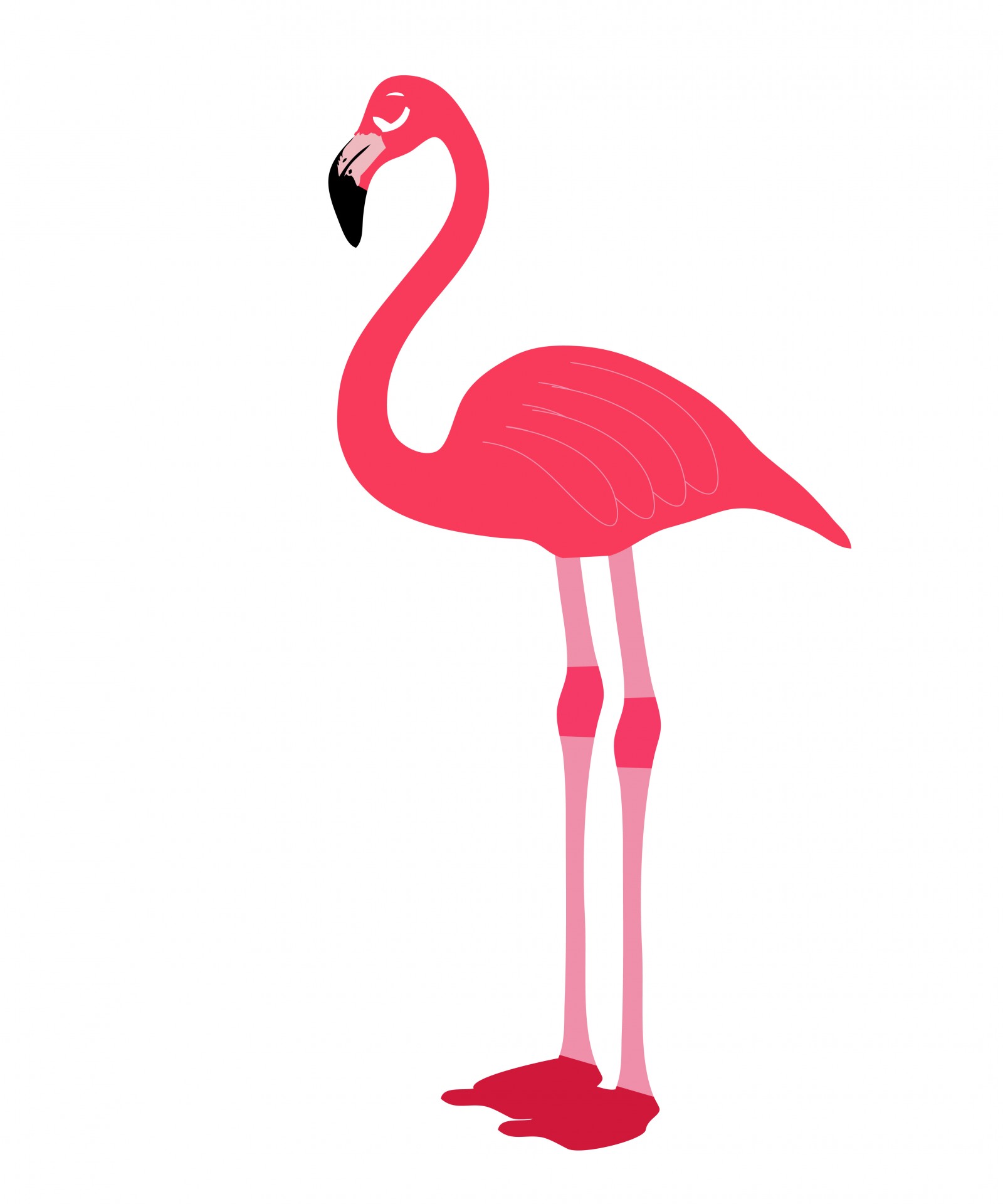 Pink flamingo bird clipart free stock photo public domain pictures