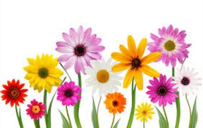 Free may flowers clipart
