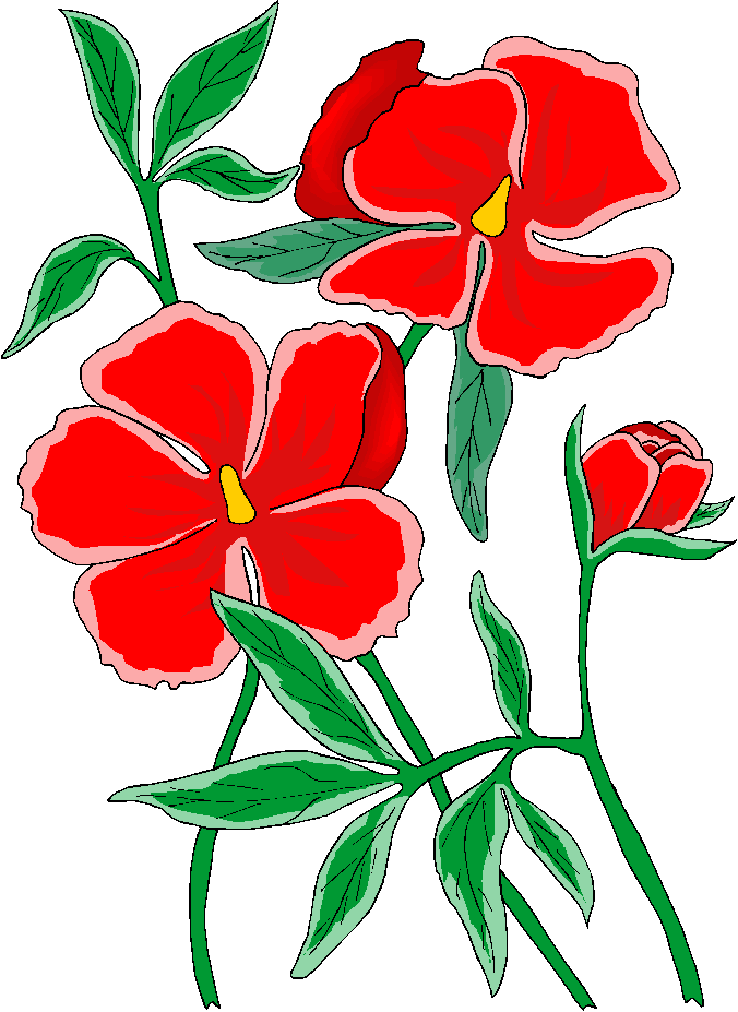Flowers flower free floral clipart image 5