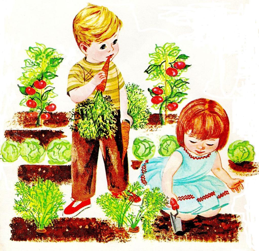 Vegetable garden clip art