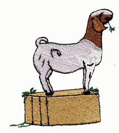 Boer goat clip art images of drawing goat wallpaper boer goats