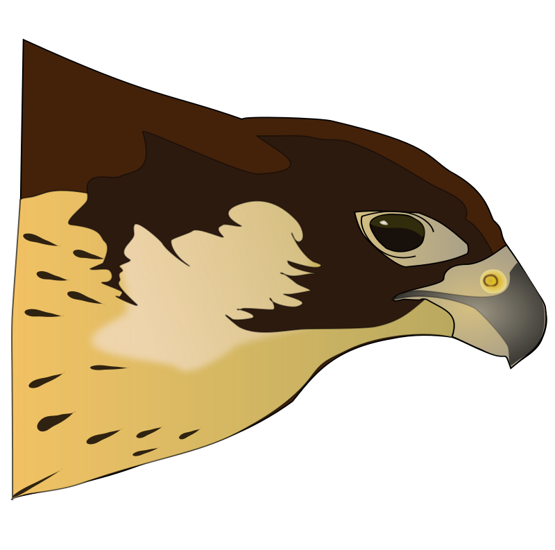 Hawk clip art free 3