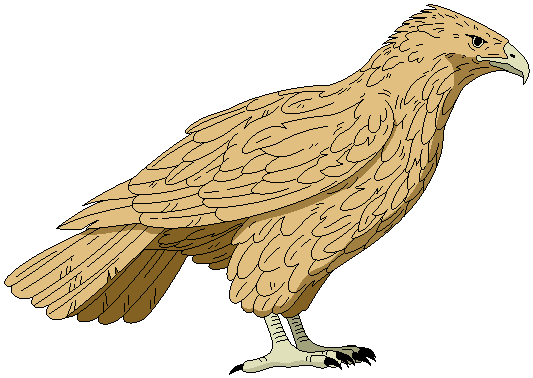 Hawk clipart free clipart images 3 image 2