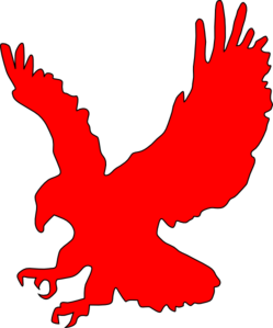 Red hawk clipart