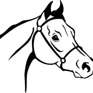 Cute horse head clip art illustration clipartidy