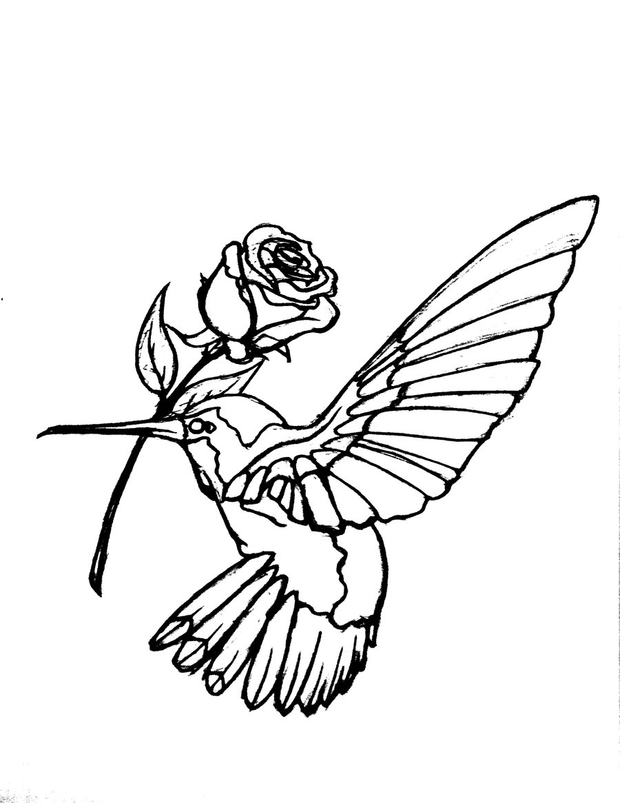 Hummingbird Tattoo Outline Designs Clip Art Library