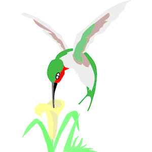 Hummingbird drawings clipart 3