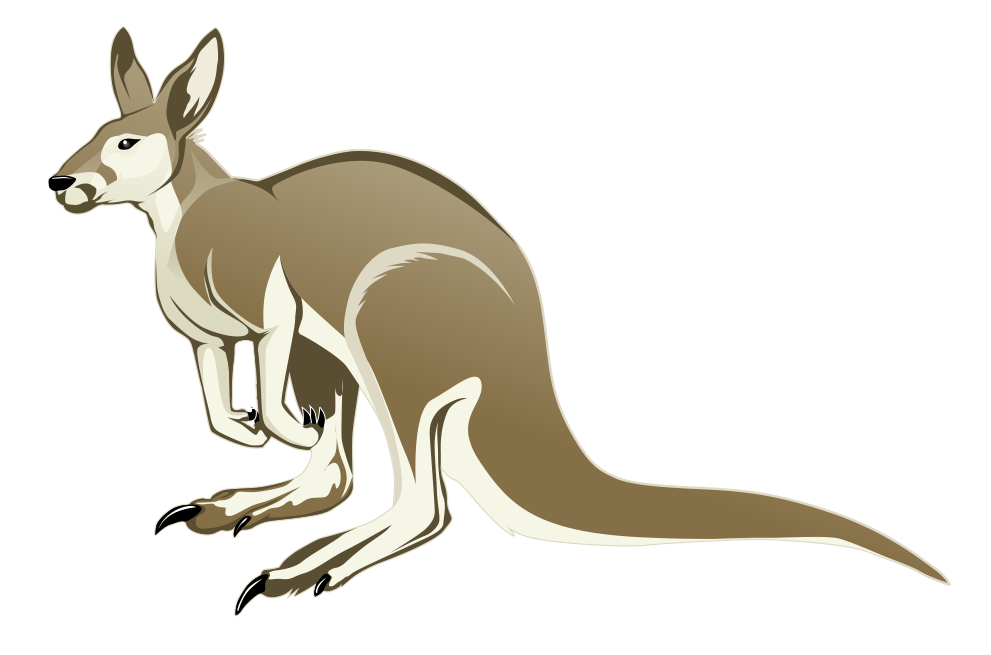 Kangaroo free to use clipart 2