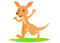 Search results for kangaroo clip art pictures graphics