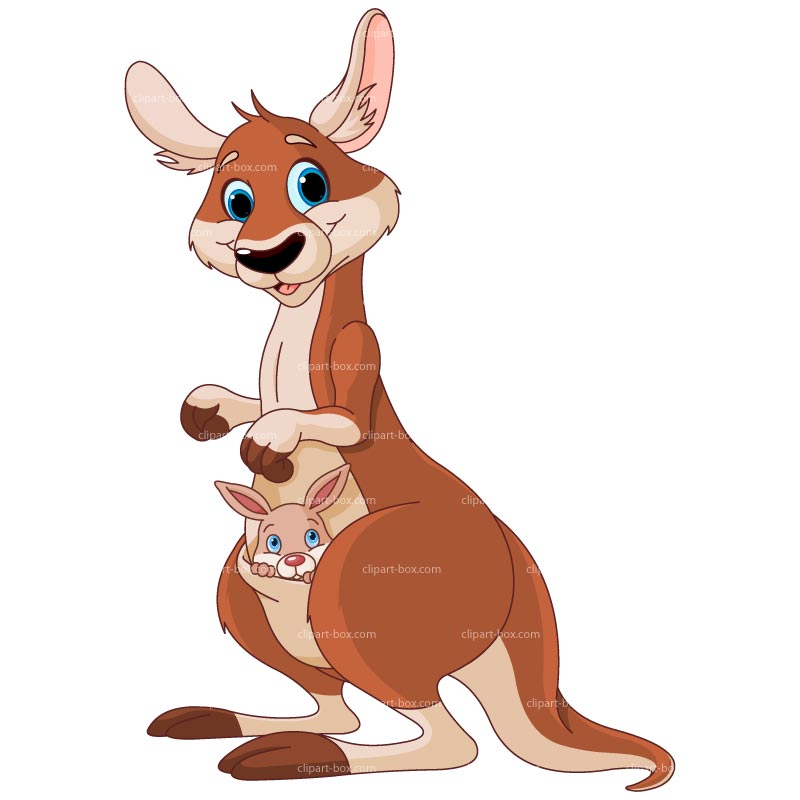 Kangaroo clip art download