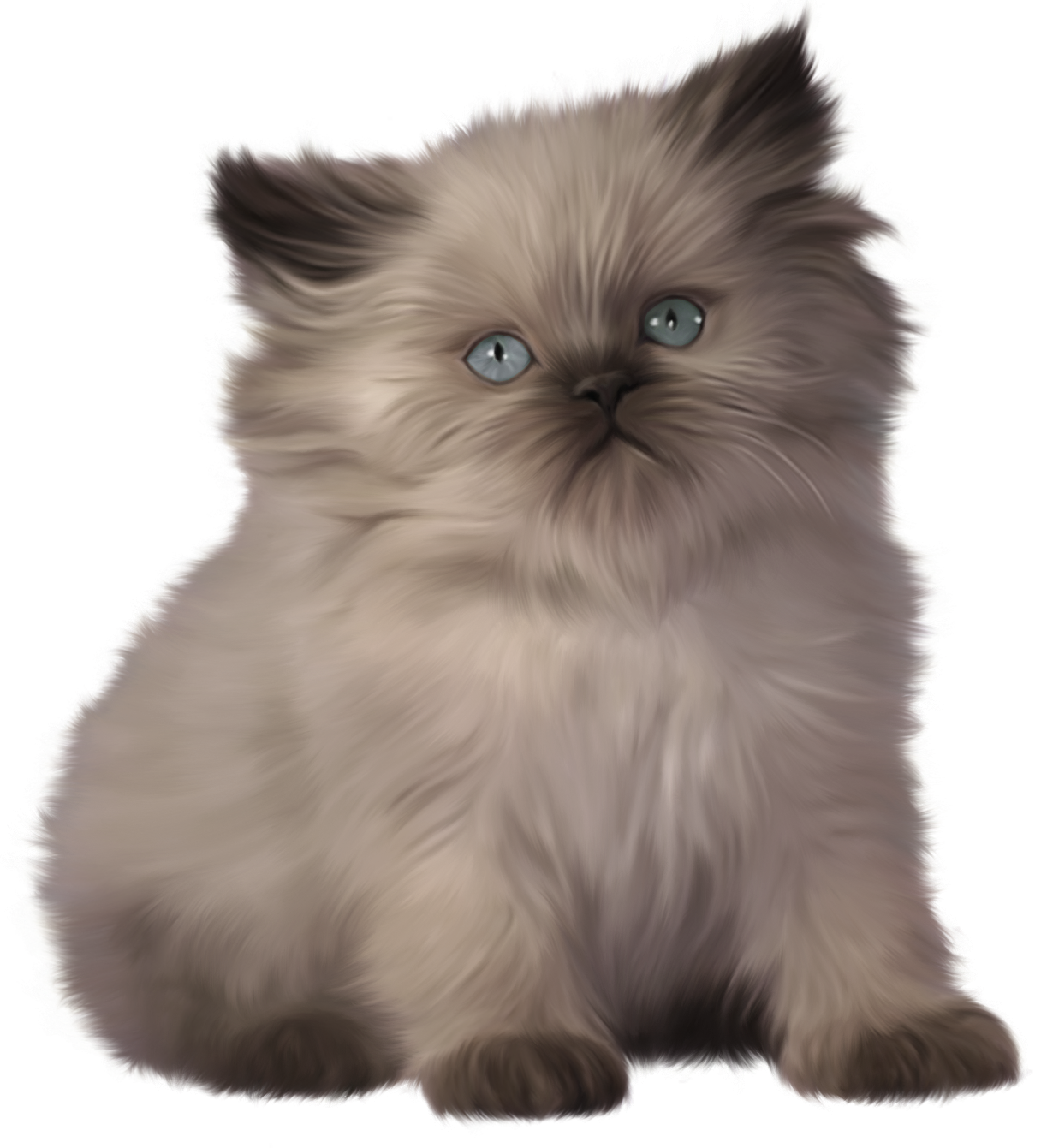 Free Cute Kitten Transparent, Download Free Cute Kitten Transparent png