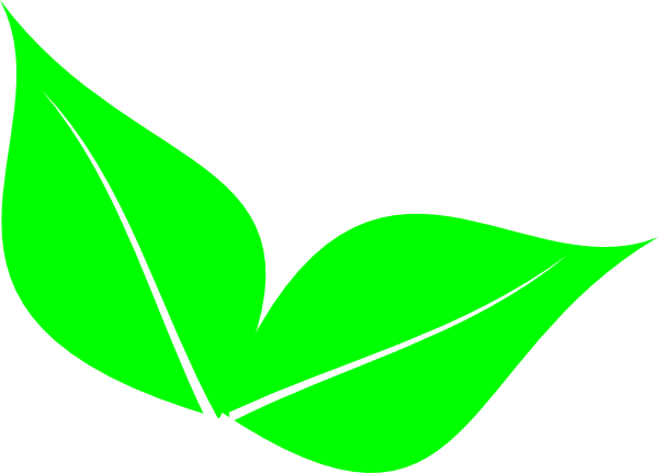 Two leaf clipart