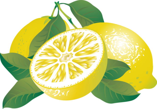 Lemon citrus fruit clipart
