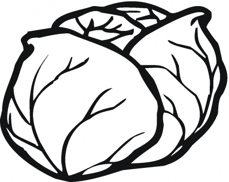 cabbage black and white clipart