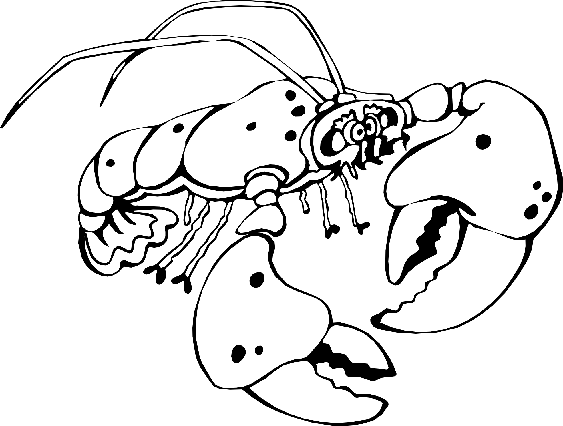 free-lobster-clipart-black-and-white-download-free-lobster-clipart