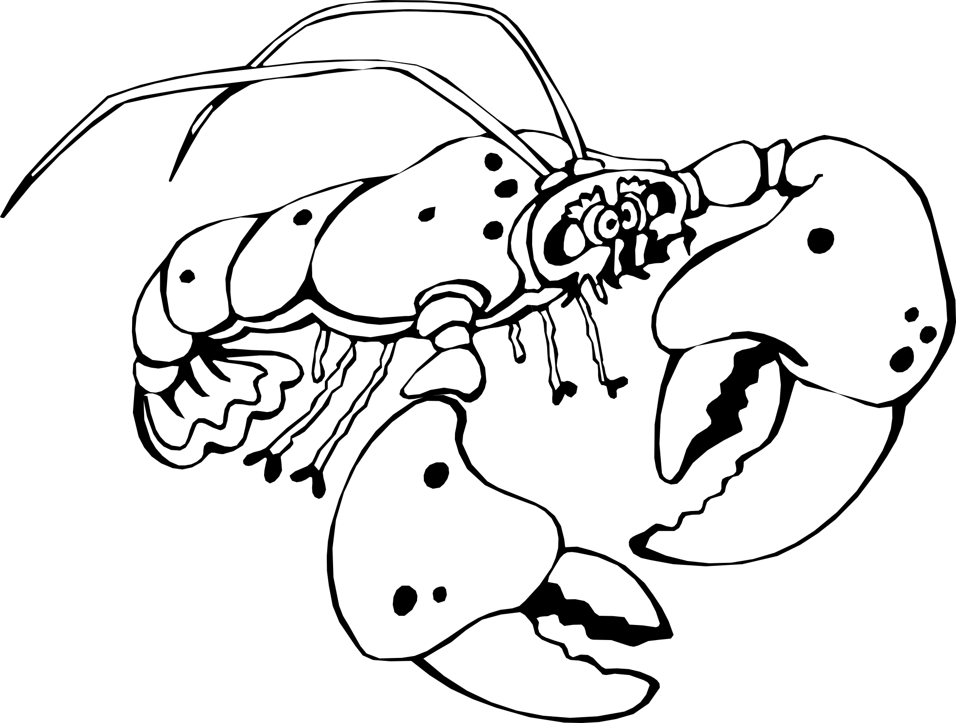 Free Lobster Clipart Black And White Download Free Lobster Clipart