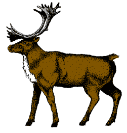 Free deer moose clip art