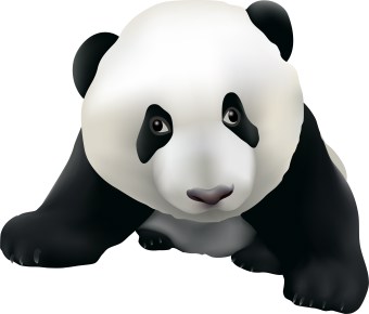 Panda lookout clipart free clipart images