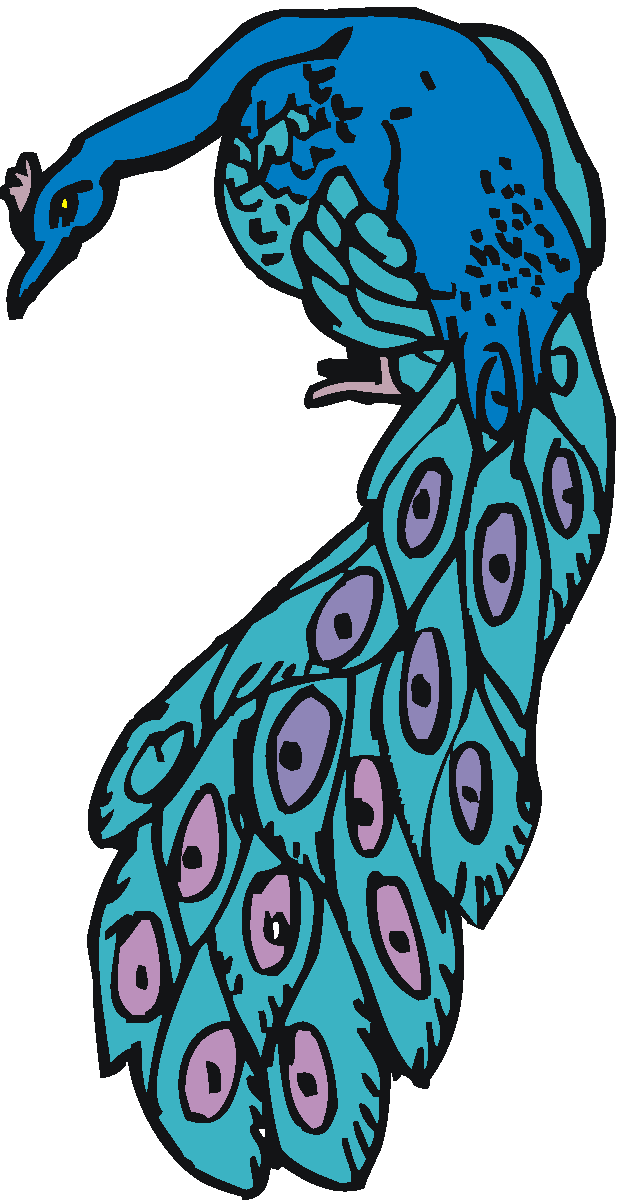 Peacock Clipart Clip Art Library 2591