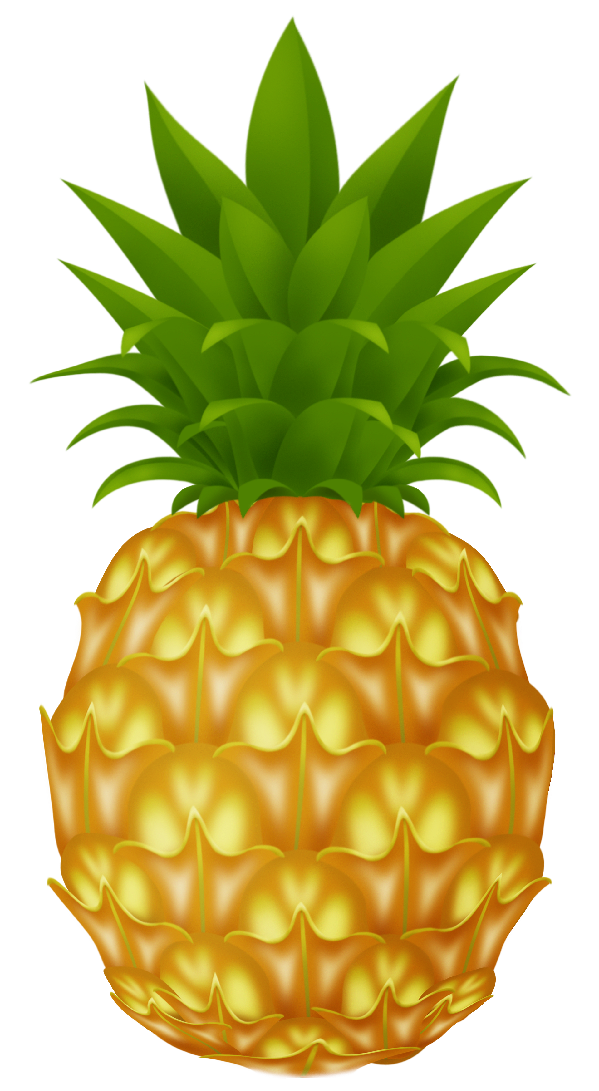 Pineapple Clipart Png Clip Art Library