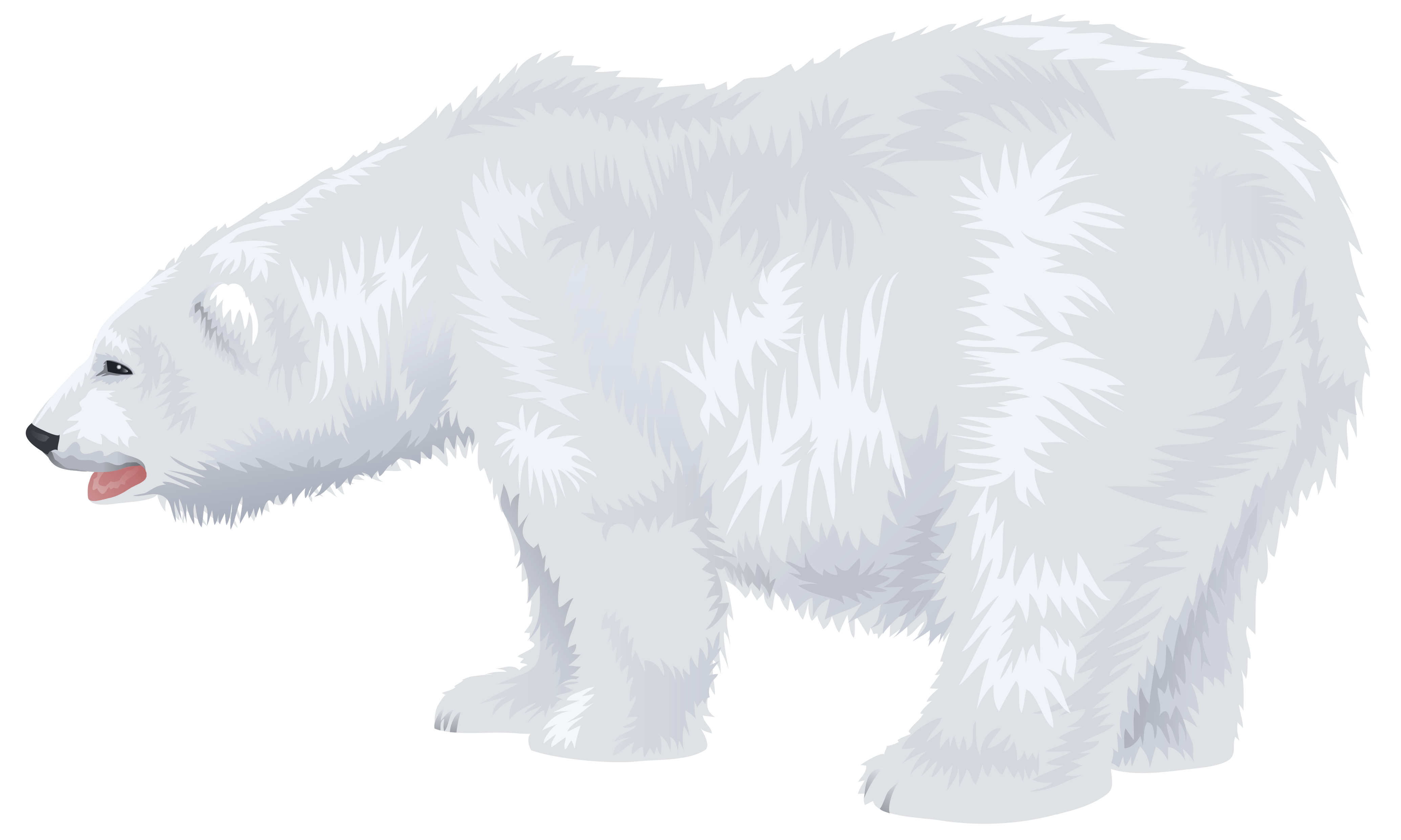 Polar Bear Png Clipart Clip Art Library Images And Photos Finder