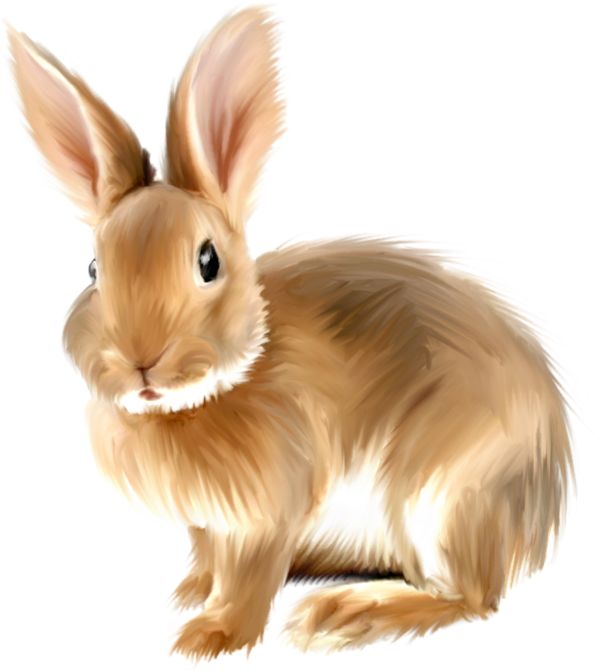 Free Rabbit Clipart, Download Free Rabbit Clipart png images, Free