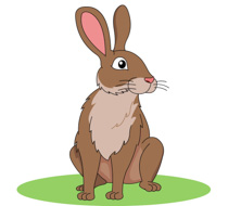 Free rabbit clipart clip art pictures graphics illustrations