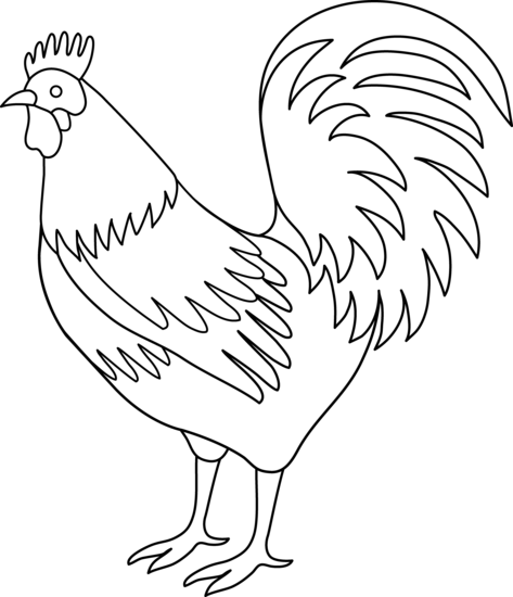 Rooster coloring page free clip art