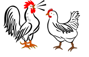 Hen and rooster clip art free clipart images