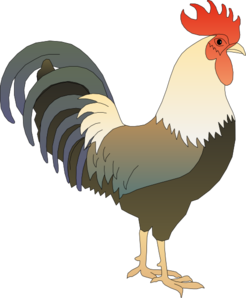 Morning rooster clipart kid