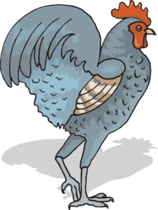 Walking rooster clip art high quality